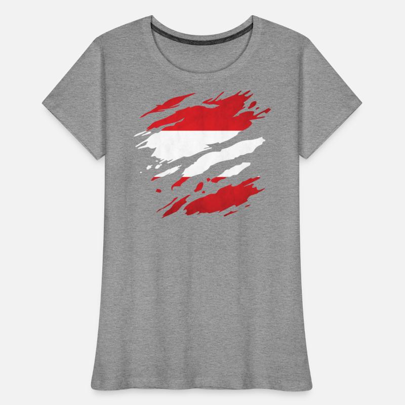 Austria - national flag, scratches, cracks