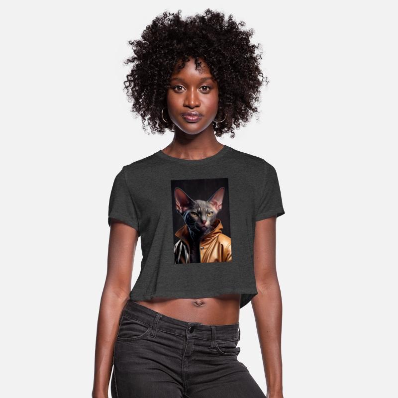 Colorpoint Shorthair Cat Breed Portrait wears a le