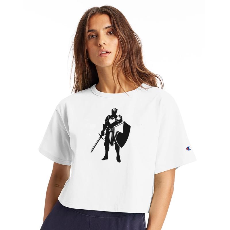 Noble Knight With Shield And Sword