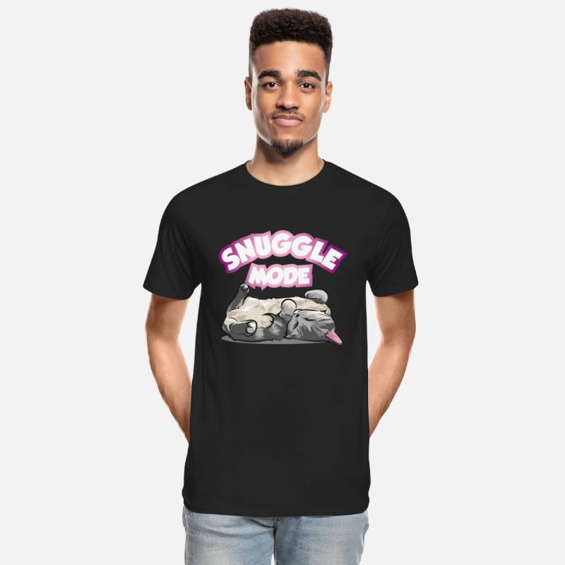 Snuggle Mode Sleeping Cute Cat Kitty