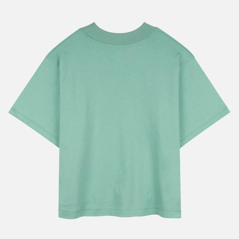 Cute Kawaii Teddy Bear 1