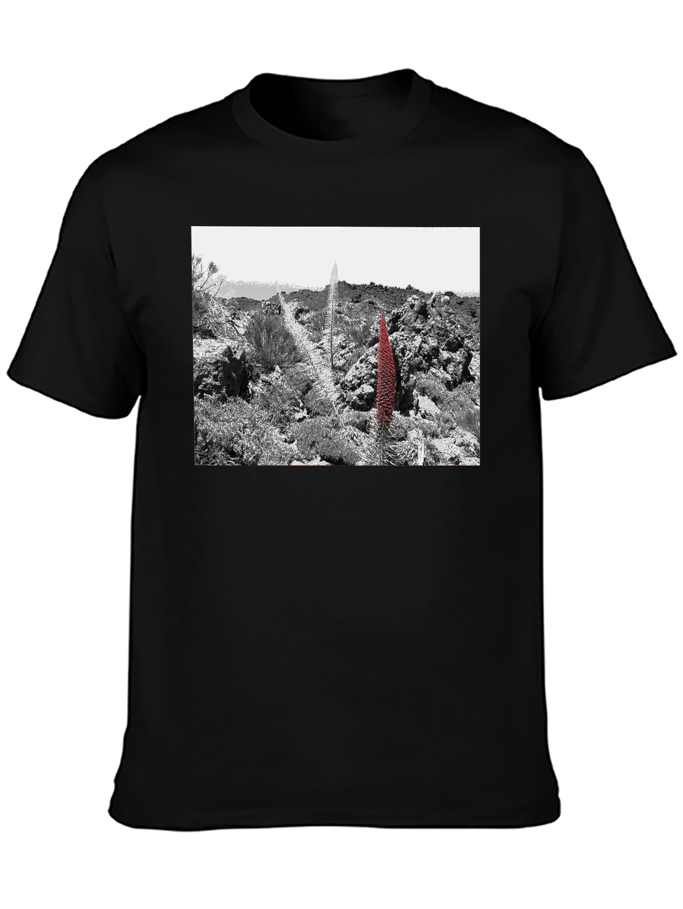 Unique Graphic Tee - Desert Floral Design