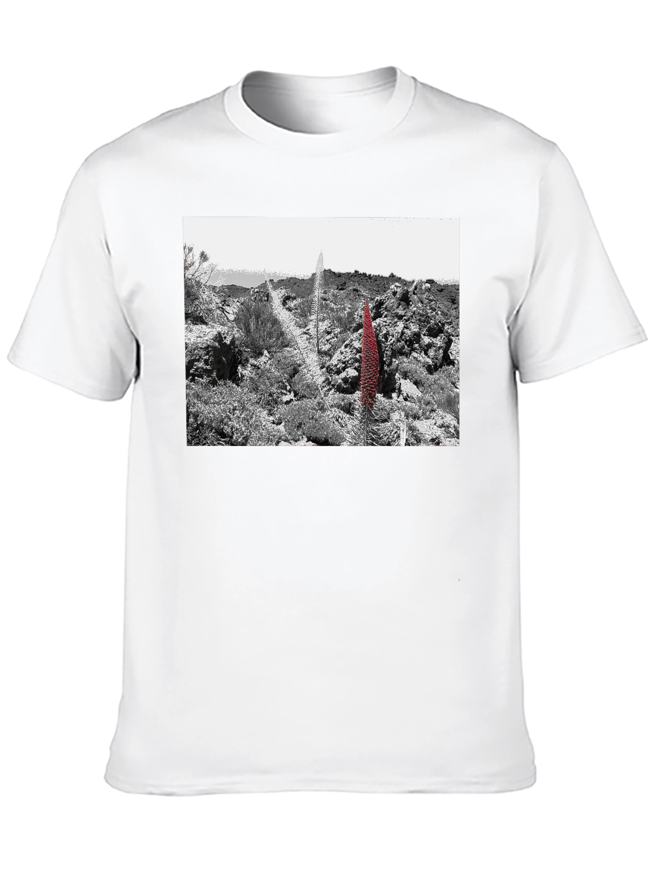 Unique Graphic Tee - Desert Floral Design