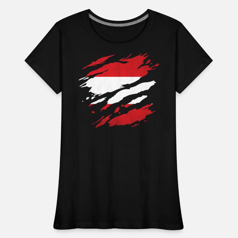 Austria - national flag, scratches, cracks