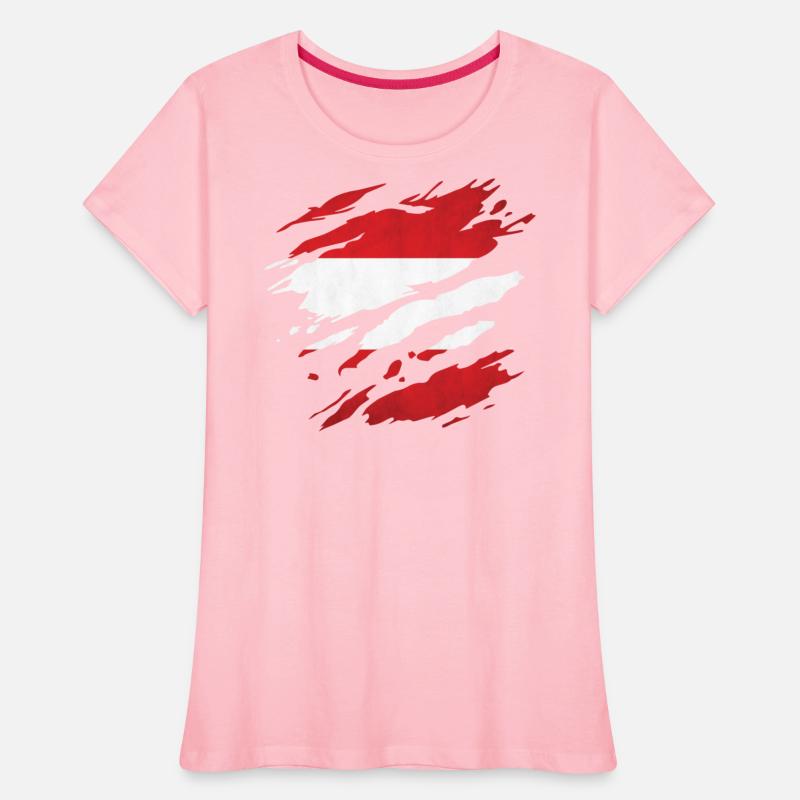 Austria - national flag, scratches, cracks