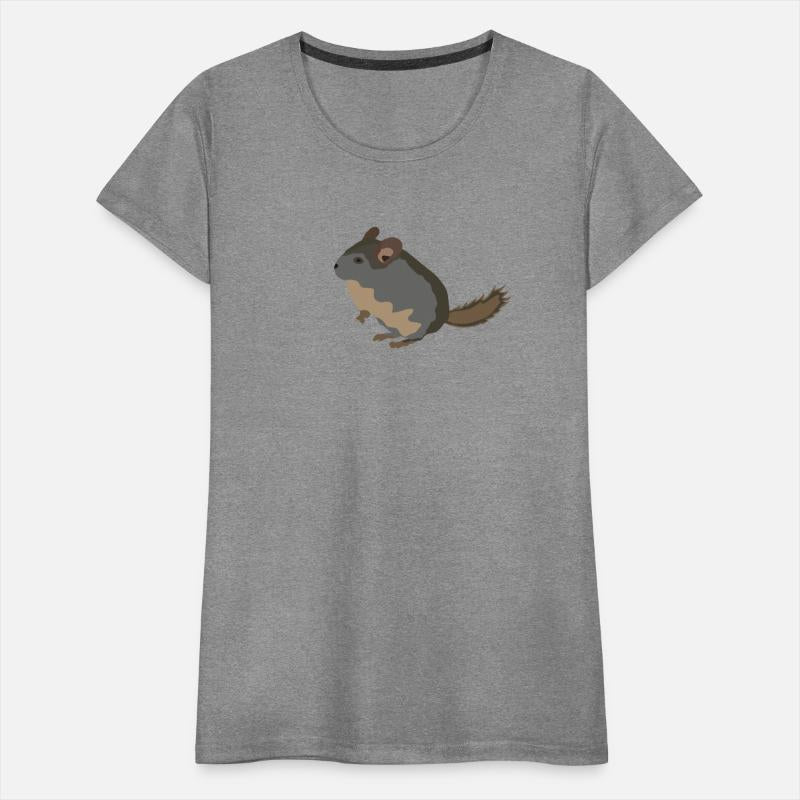 chinchilla animal vector