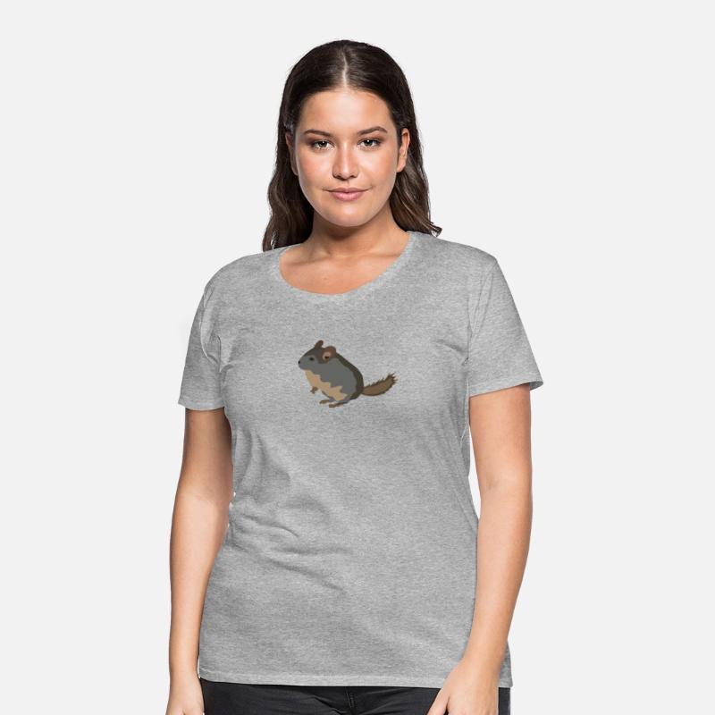 chinchilla animal vector