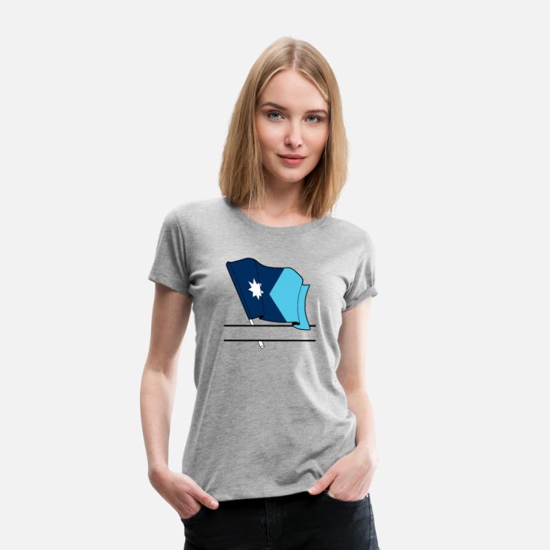 Flag Minnesota text banner