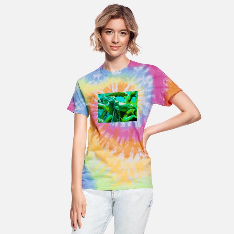 Iguana in Layman's Science 4:3