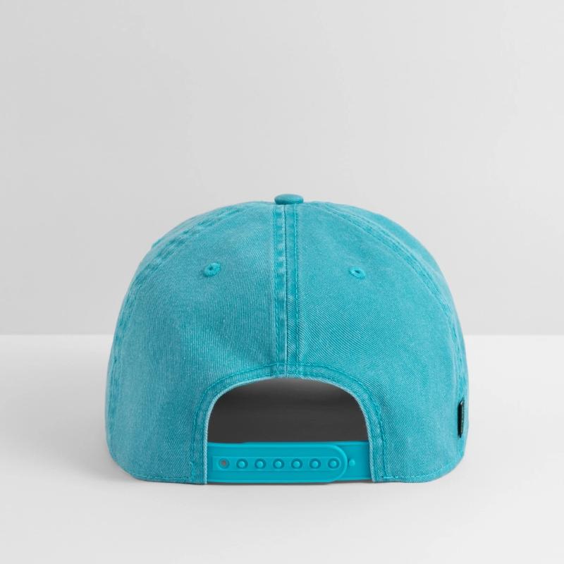 ISO Collection In Search of Jesus