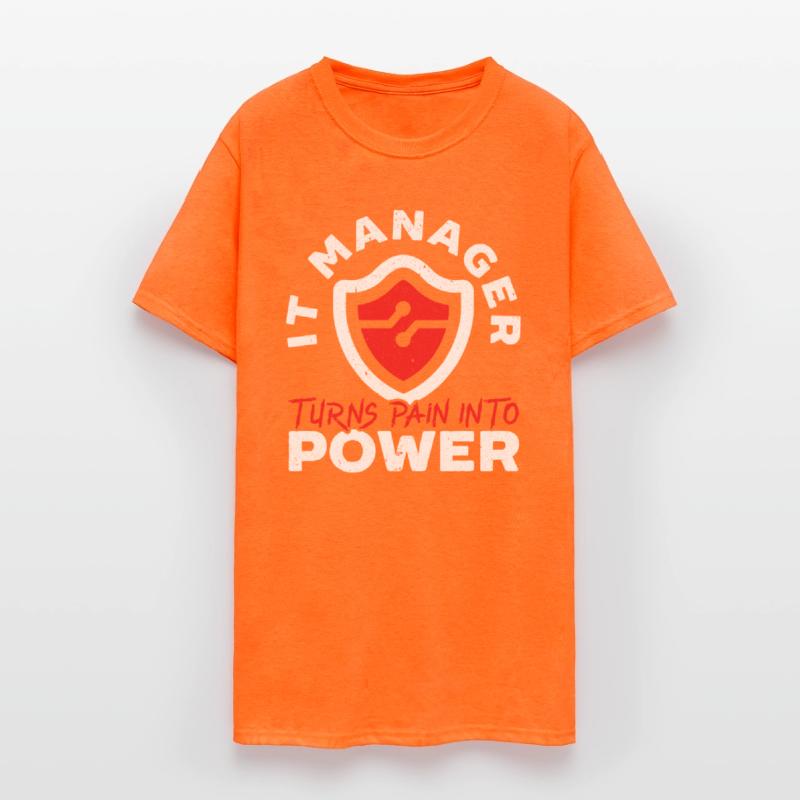 IT Manager Job Information Technology Computer