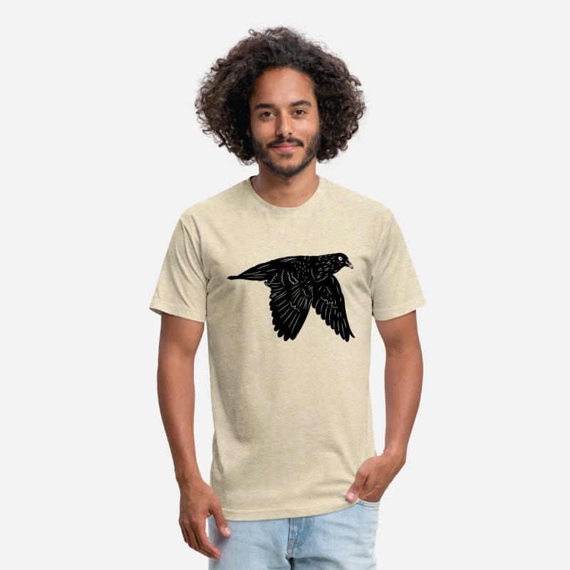 Pigeon competition pigeon in flight