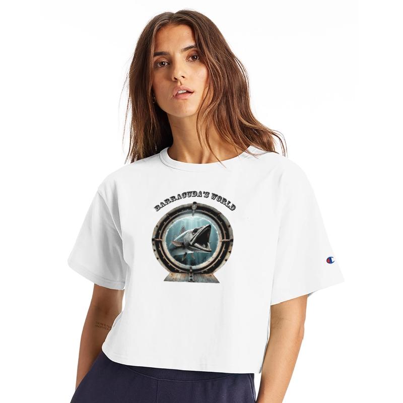 Porthole View of a Barracuda Fish Underwater URM